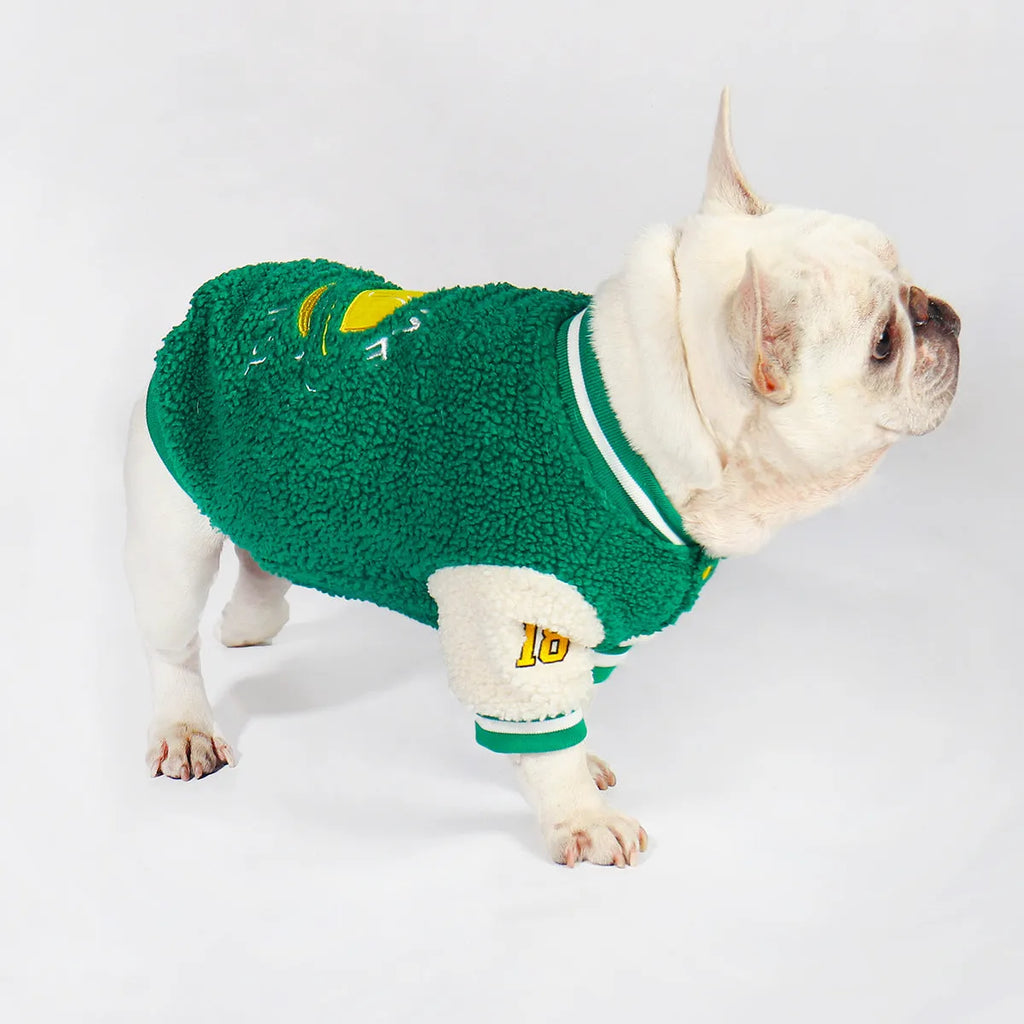 Green fleece-lined dog coat for winter with cotton exterior and multiple size options