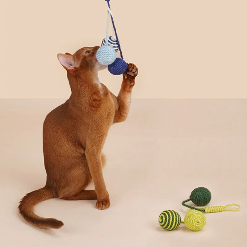 Cat toy set with blue teaser stick and multicoloured catnip ball on white background