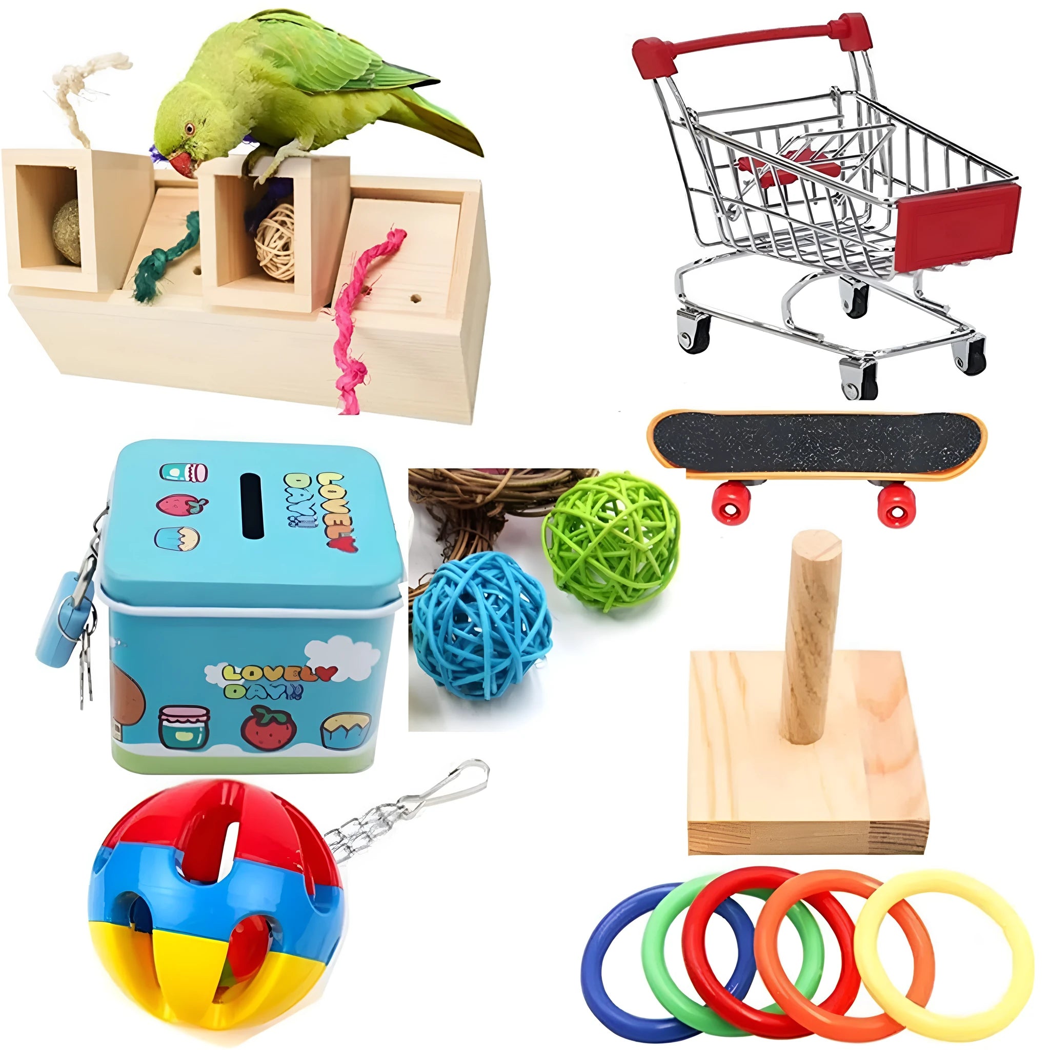 Wooden parrot foraging puzzle toy set with multiple pieces for bird training