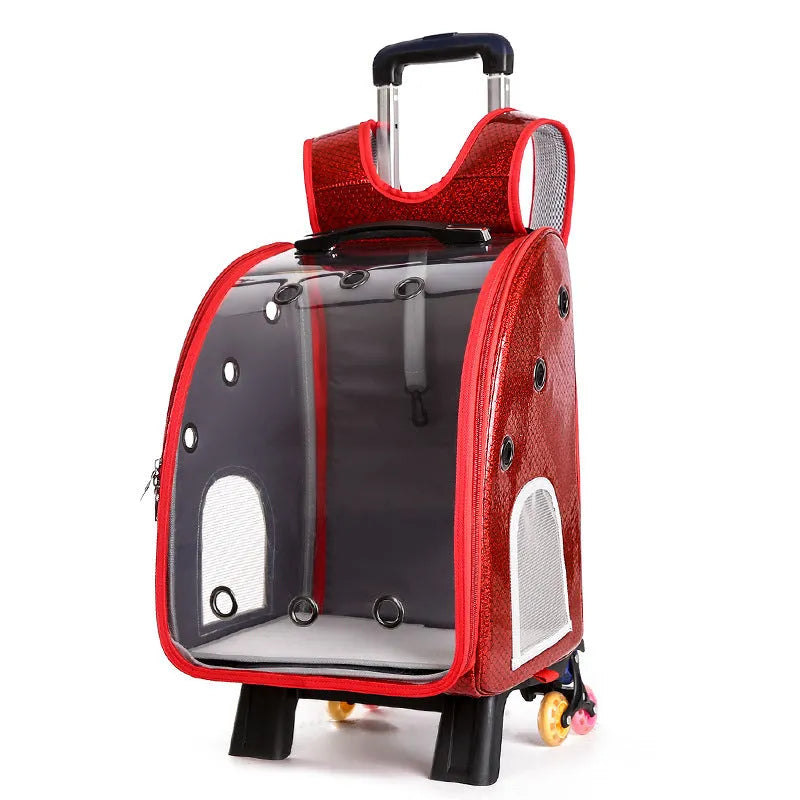 Blue transparent pet trolley bag with shoulder strap for carrying a small dog