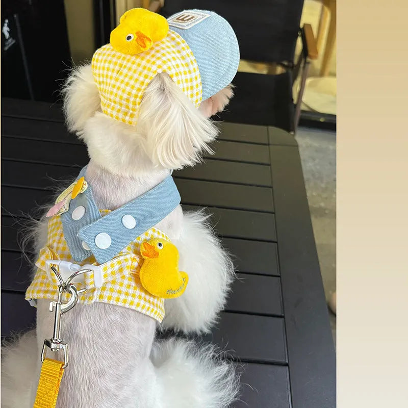 Cat wearing striped mesh harness with leash attached, showing quick-release buckle and adjustable straps