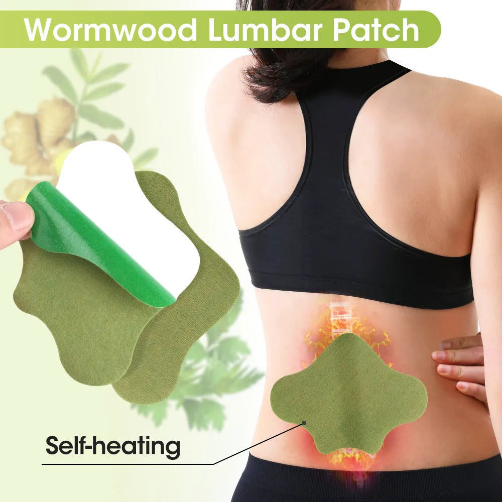 Chinese mugwort herbal patch collection showing knee, lumbar, cervical and foot patches with traditional herbal ingredients