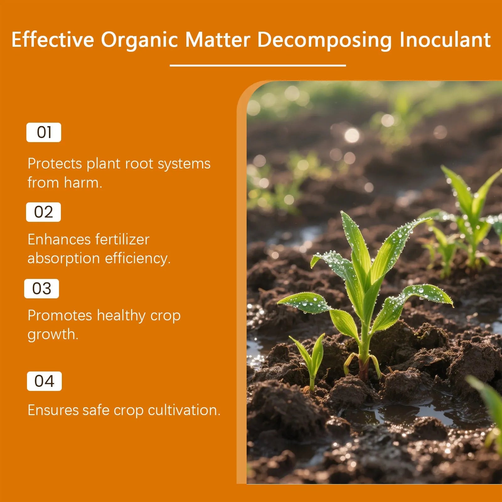 100g pack of plant growth powder with humus extract and mineral ingredients in a bag