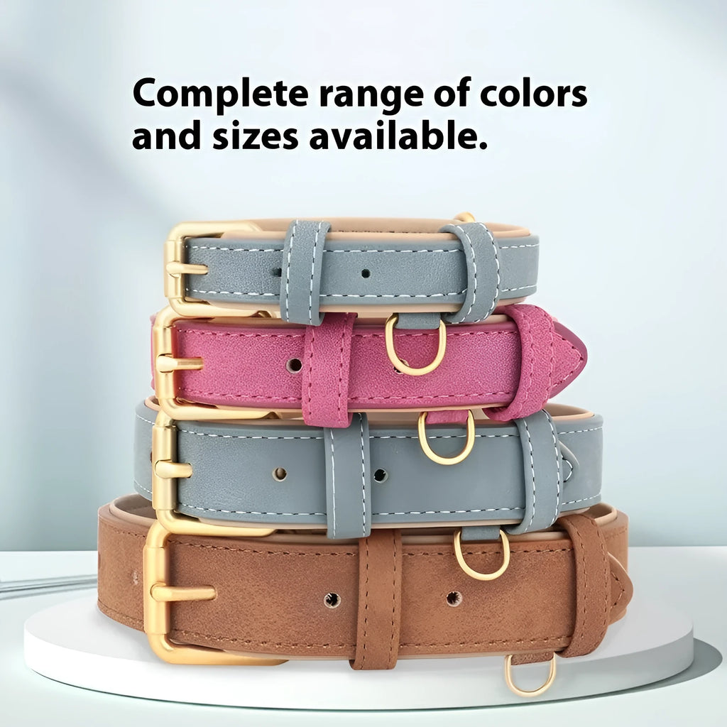 A double-layer leather dog collar with a matching lead in blue, shown alongside brown and rose red colour options.