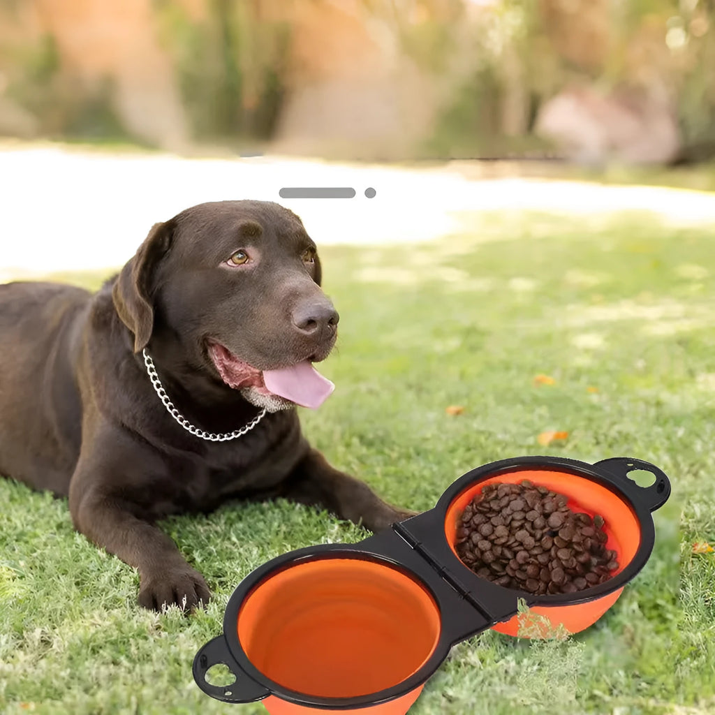 Silicone folding double pet bowl set in various colours showing unfolded feeding position