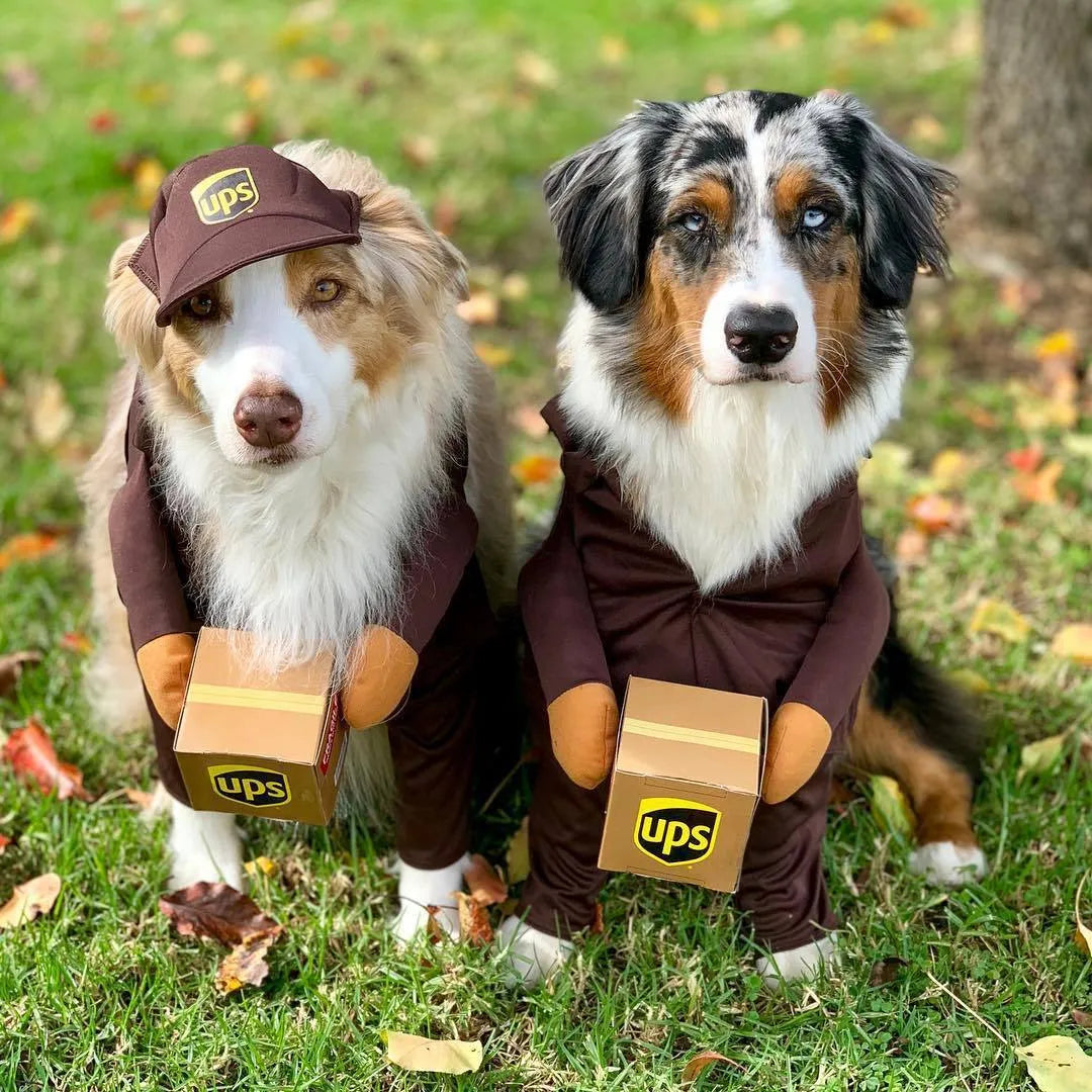 Funny Express pet dog cat clothes in brown cloth, size L for chest 60-70cm