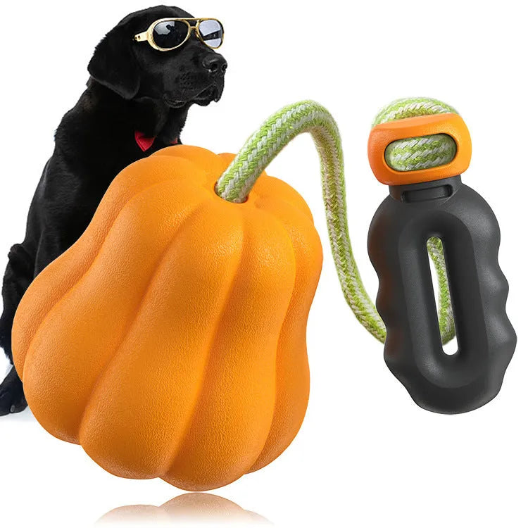 Orange Bite Molar plastic dog chew bone toy with an attached rope handle on grass.