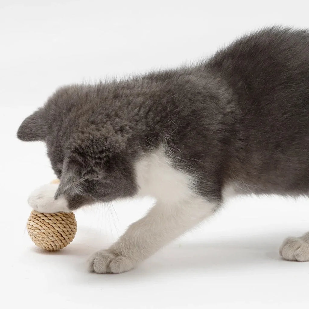 Two-piece cat toy set showing rattan ball with bell and faux feather ball in primary colours