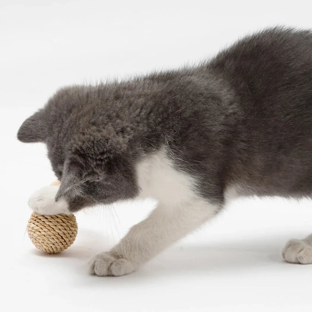 Two-piece cat toy set showing rattan ball with bell and faux feather ball in primary colours