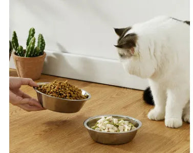 Stainless steel pet bowl for cats and dogs with non-slip design