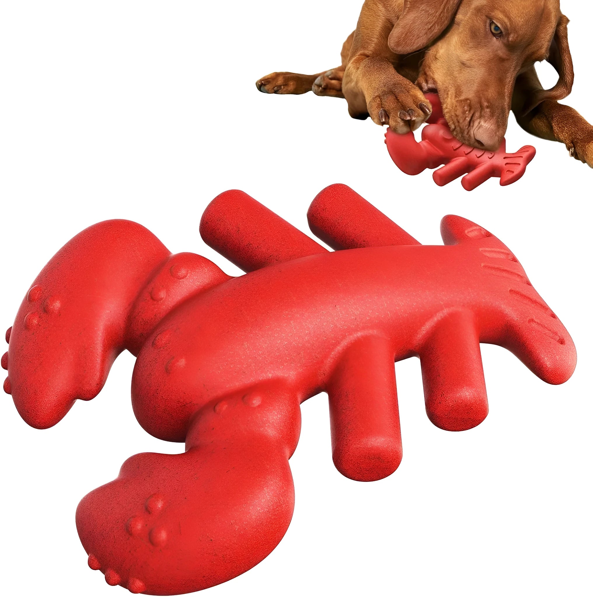 Red durable dog chew toy for large breed aggressive chewers measuring 170mm long