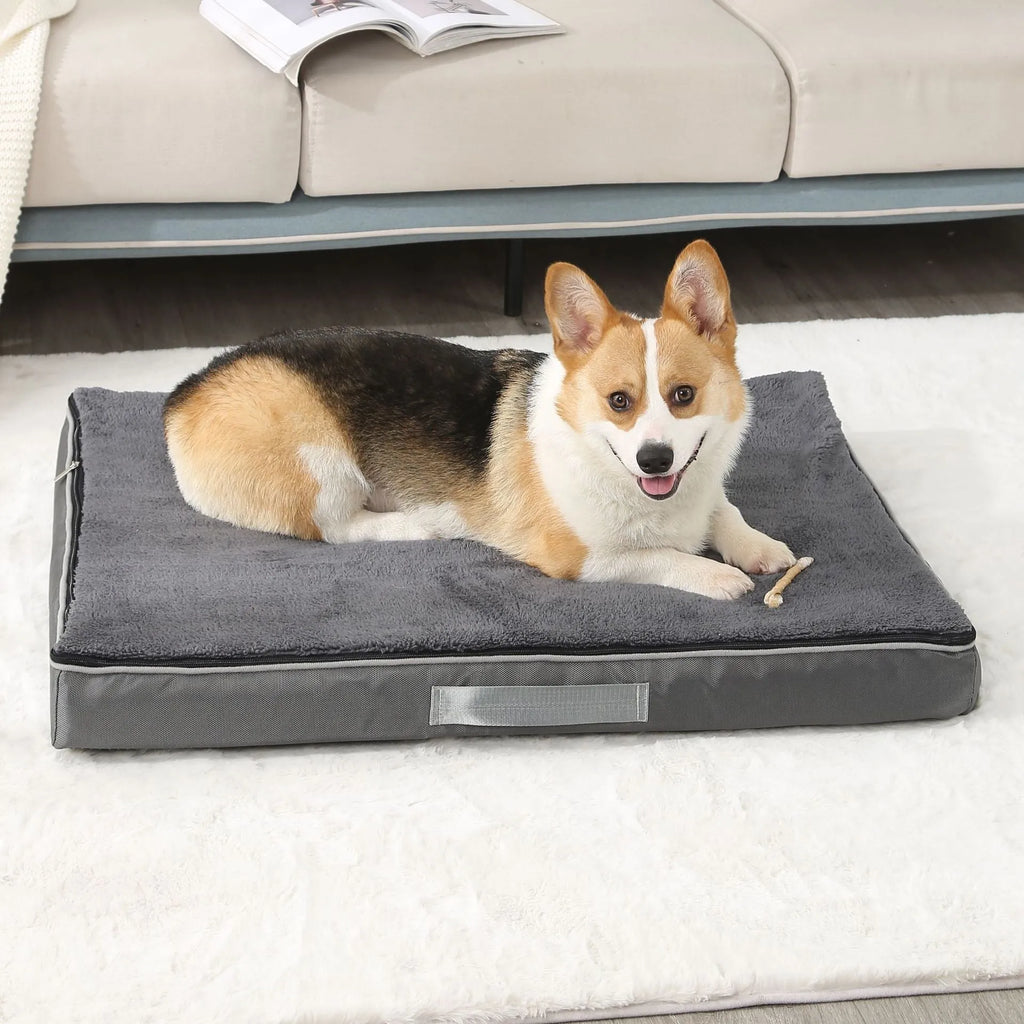 Brown memory foam dog mat with removable Shu cotton velvet cover showing 10cm thickness