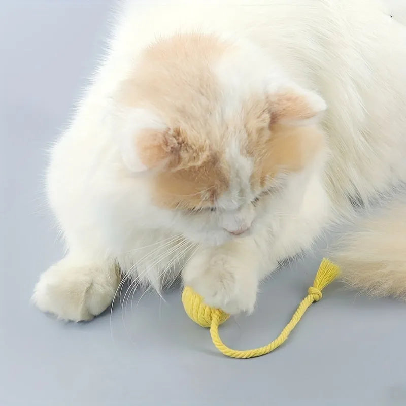 Colourful cat toy ball with rope attached and internal bell for kitten play stimulation