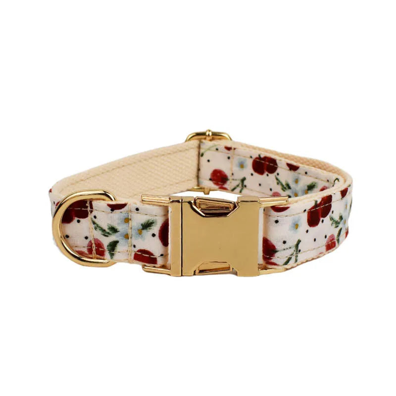 Red cherry print pet collar set with matching leash, vest, and gold buckle on dog model