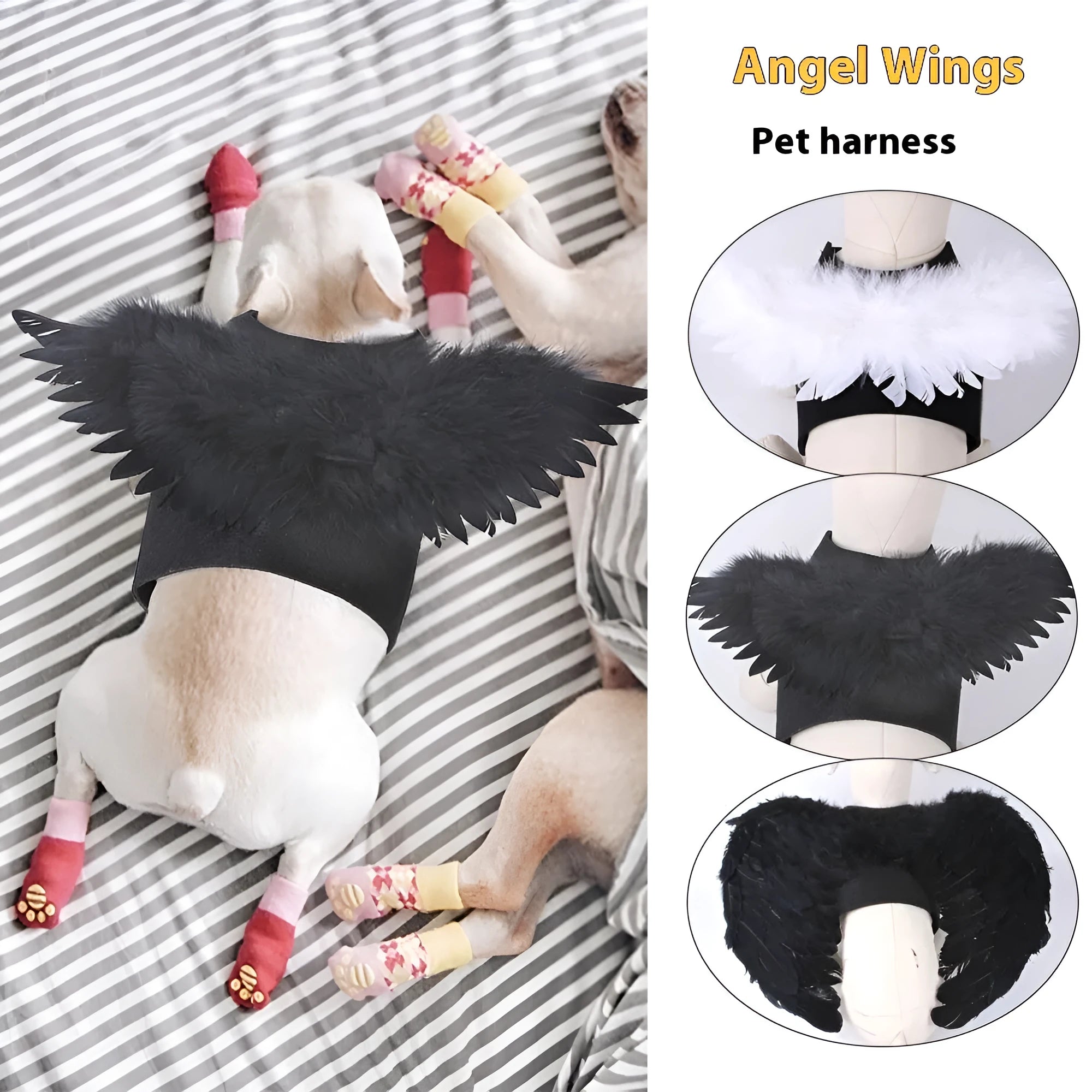 Black angel wings pet costume with chest and back attachment for dogs