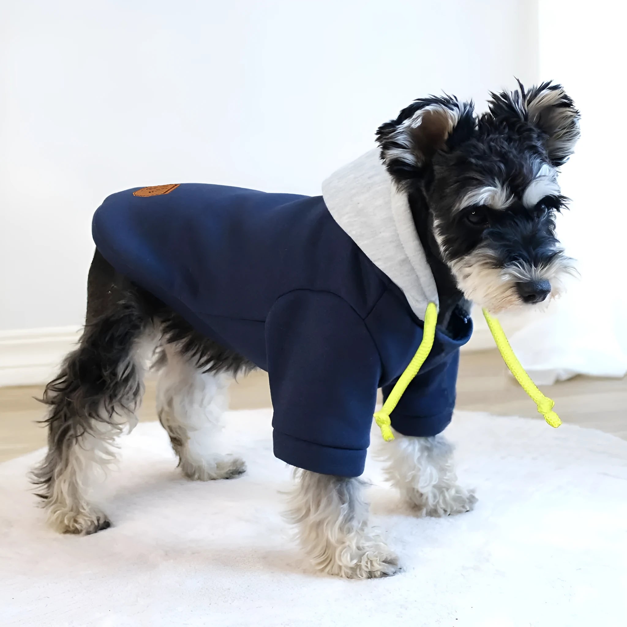 British style pet hoodie with full zip closure in dark red or navy blue with contrast stitching