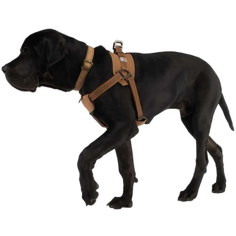 Dog training chest strap with 1.8 metre hand holding rope in reflective option