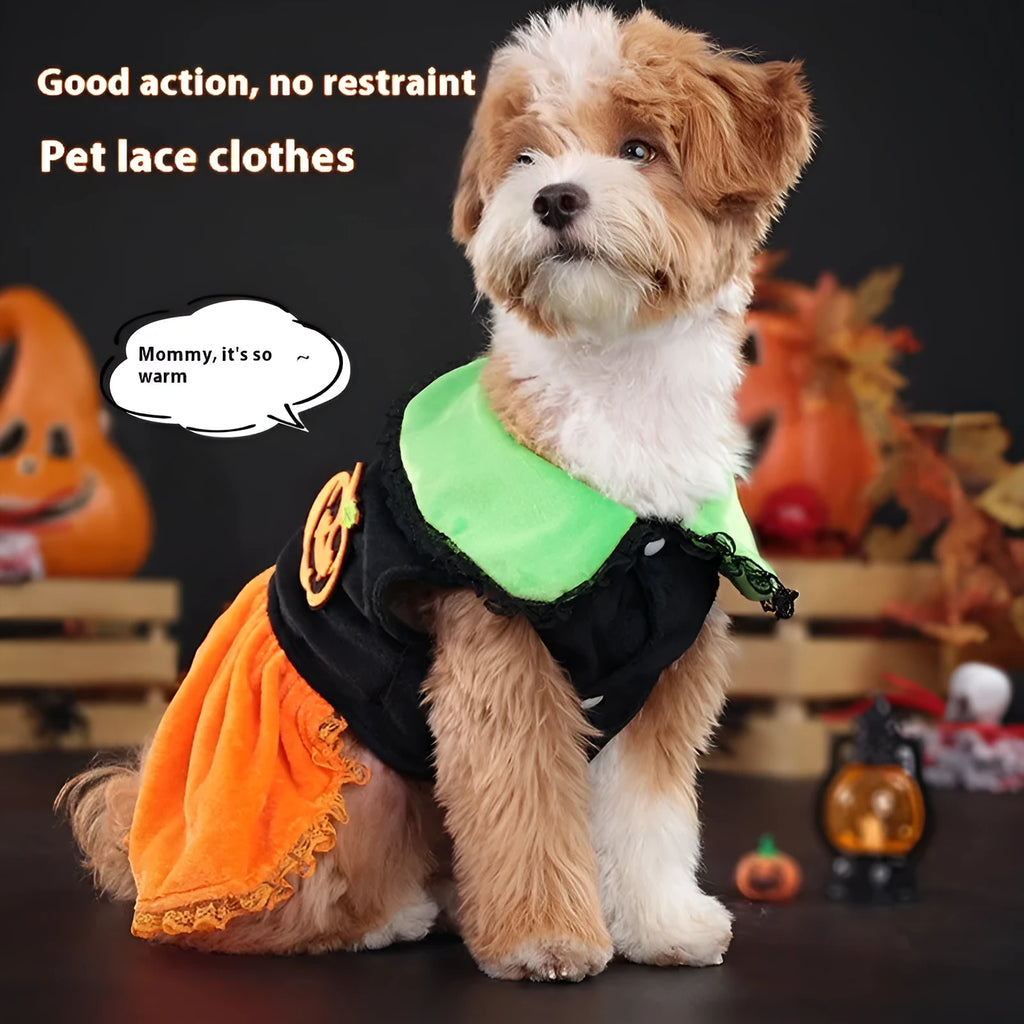 A dog wearing a crystal velvet Halloween pumpkin skirt costume, showing the soft fabric and festive design.