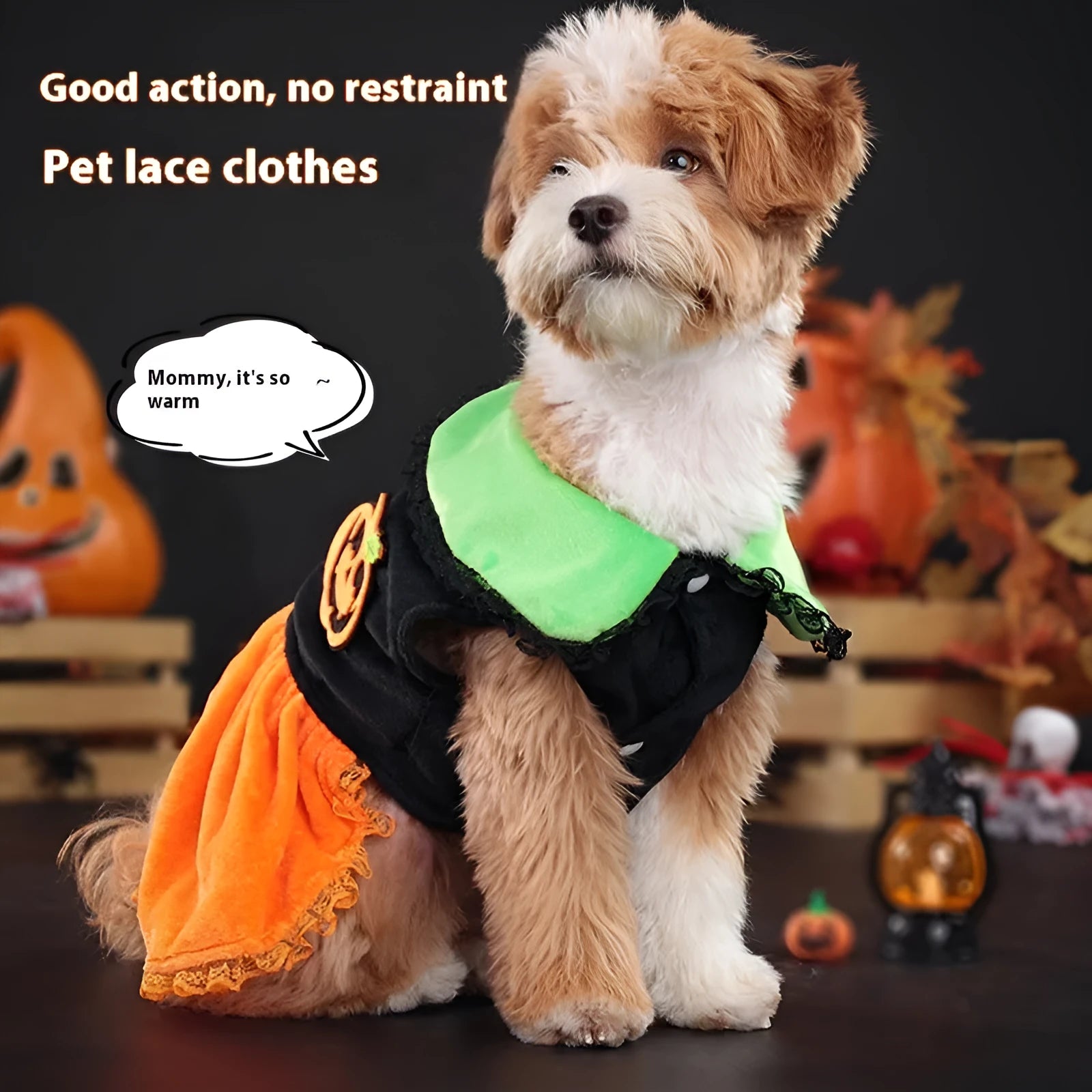 A dog wearing a crystal velvet Halloween pumpkin skirt costume, showing the soft fabric and festive design.