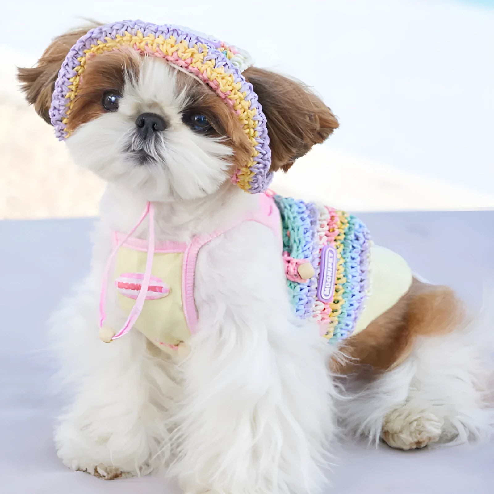 Dog woven sun hat in 100% paper casual style for small breeds summer use