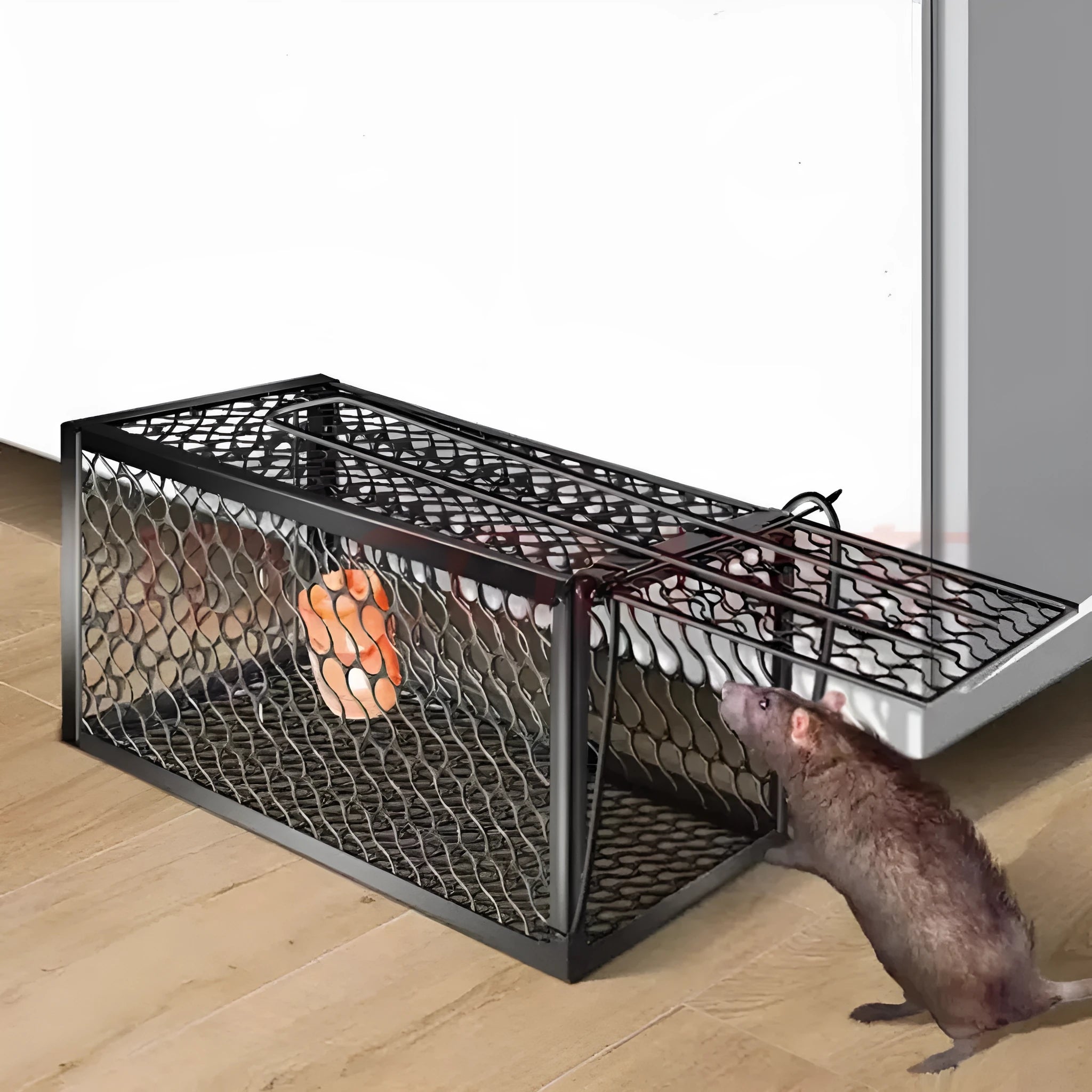 Automatic metal and plastic mouse cage trap shown in small, medium, and large sizes.