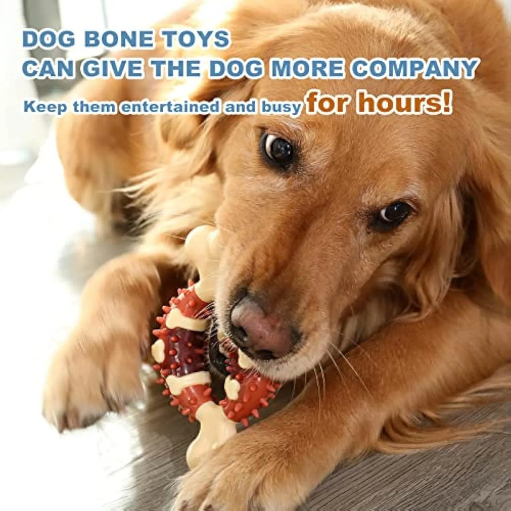 Natural rubber bone-shaped pet molar chew toy for dogs in two sizes