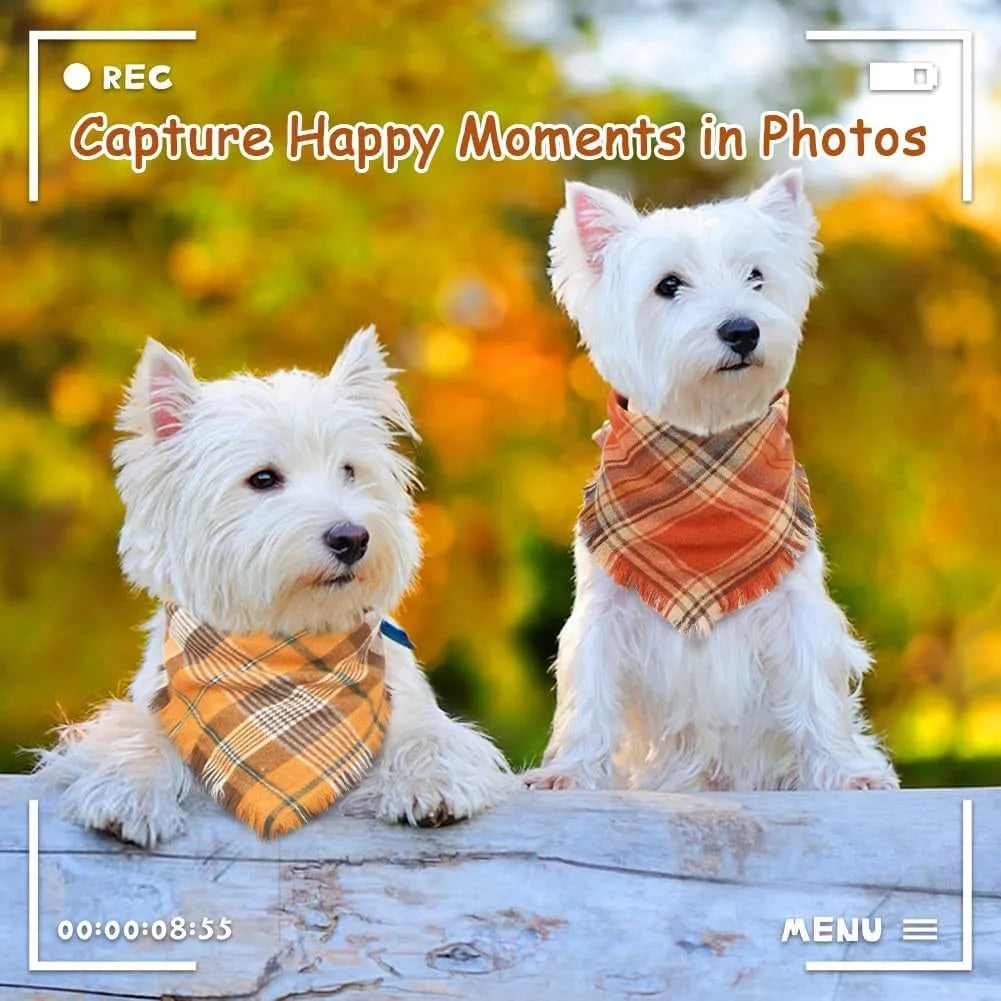 Autumn plaid dog bandana with tassel edges in seasonal colours