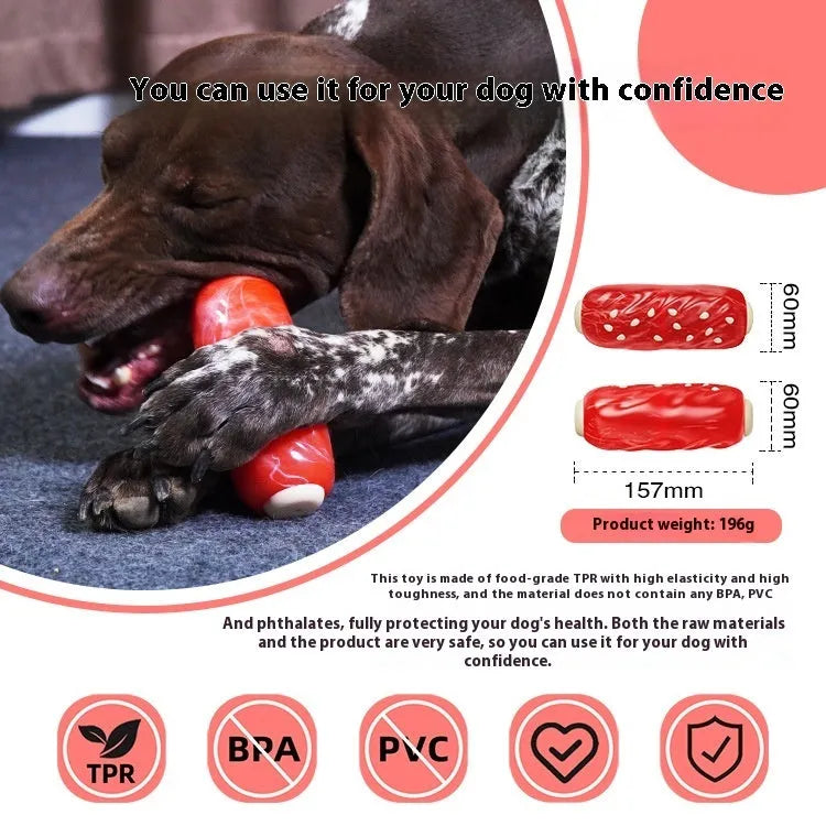 Primary colour plastic molar rod dog chew toy with treat holes.