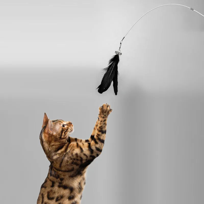 Telescopic cat fishing rod toy with goose feather teaser and bell, shown extended and collapsed.