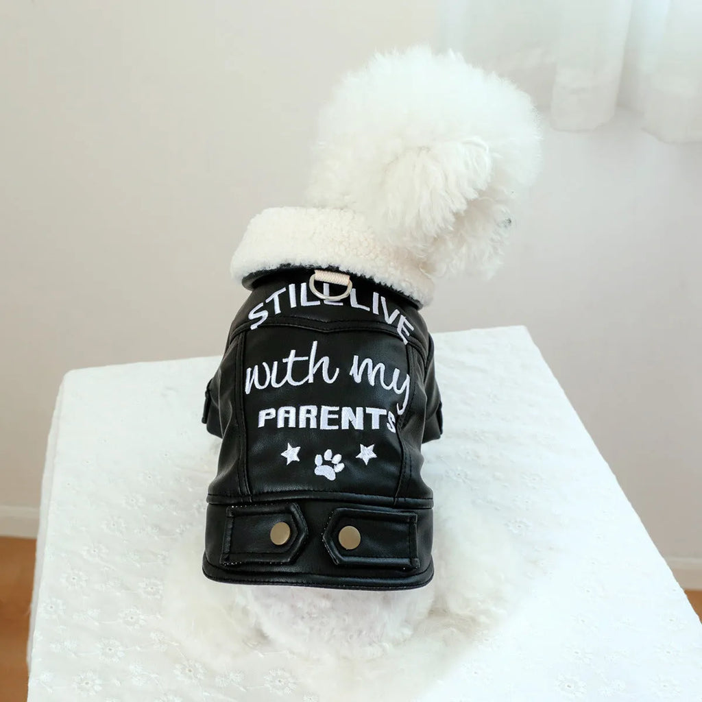 Dog wearing fleece lined padded coat in black colour with visible fleece lining at neck