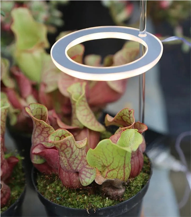 USB-powered LED plant growth light with full spectrum illumination and acrylic stick holder