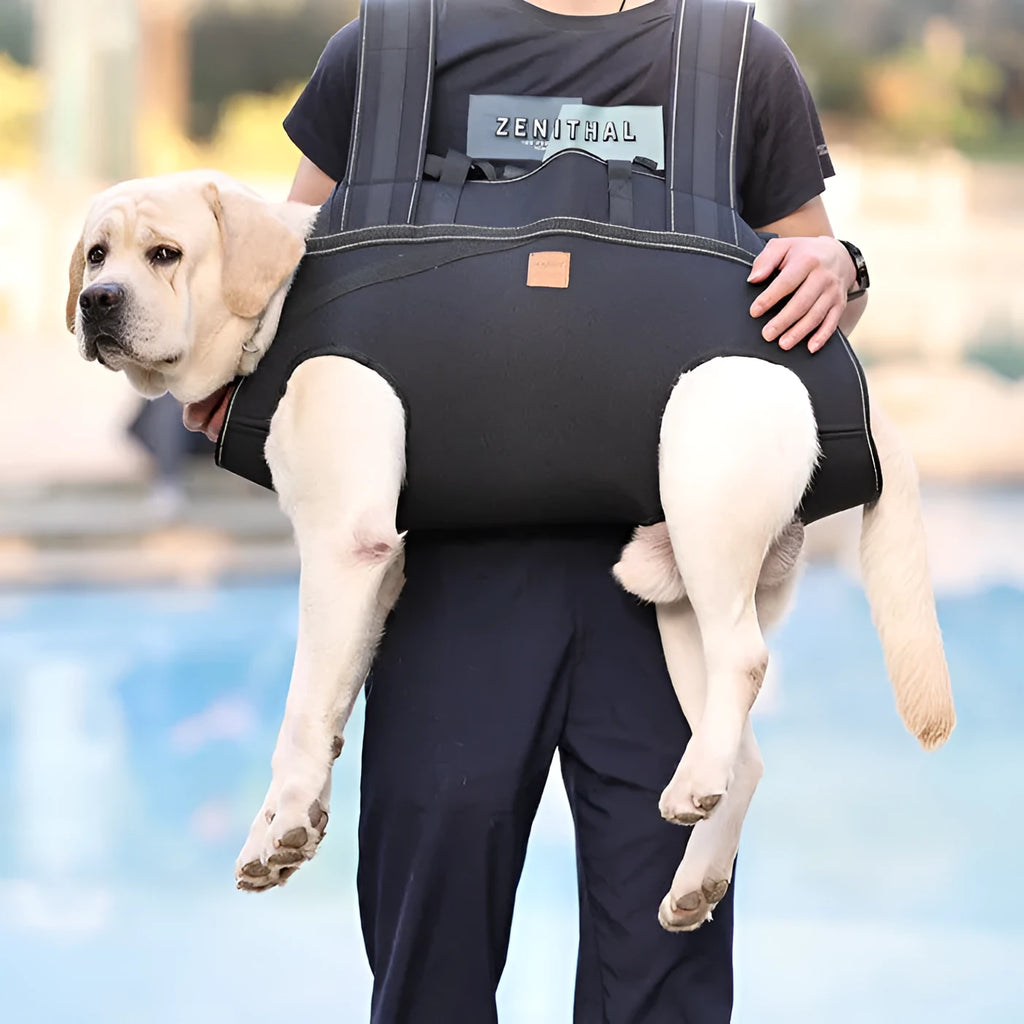 Black Oxford cloth dog backpack carrier for medium and large pets in three size options