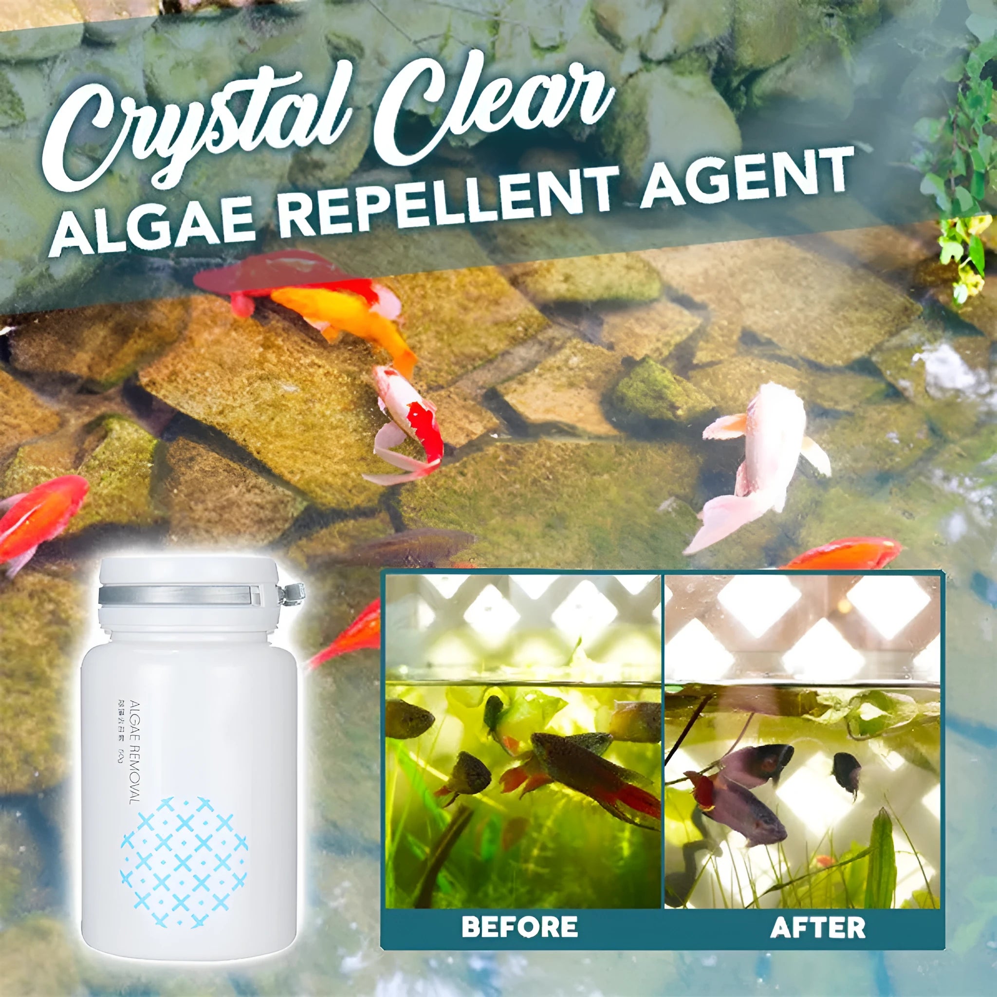 50g swimming pool algaecide for algae removal and moss control in freshwater aquariums