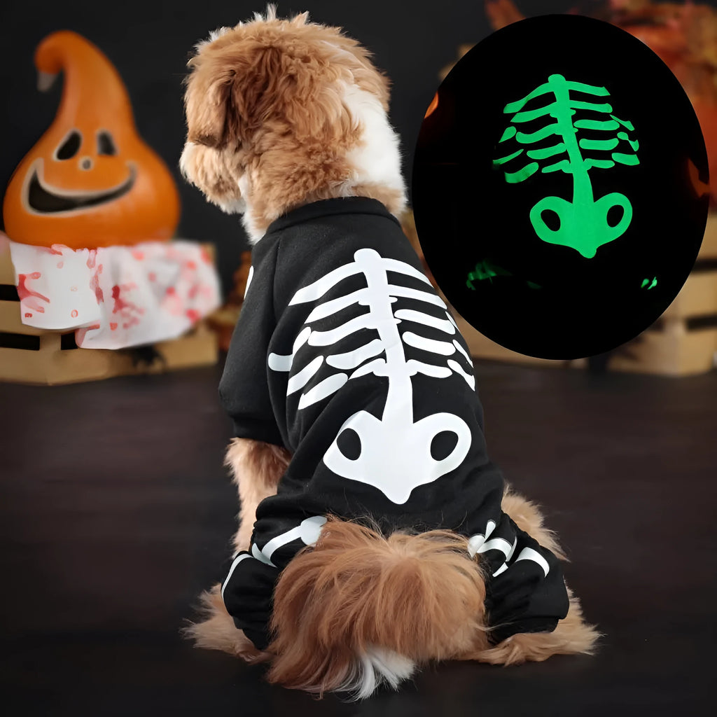 Halloween pet costume with luminous skeleton bones on dog showing four-legged design