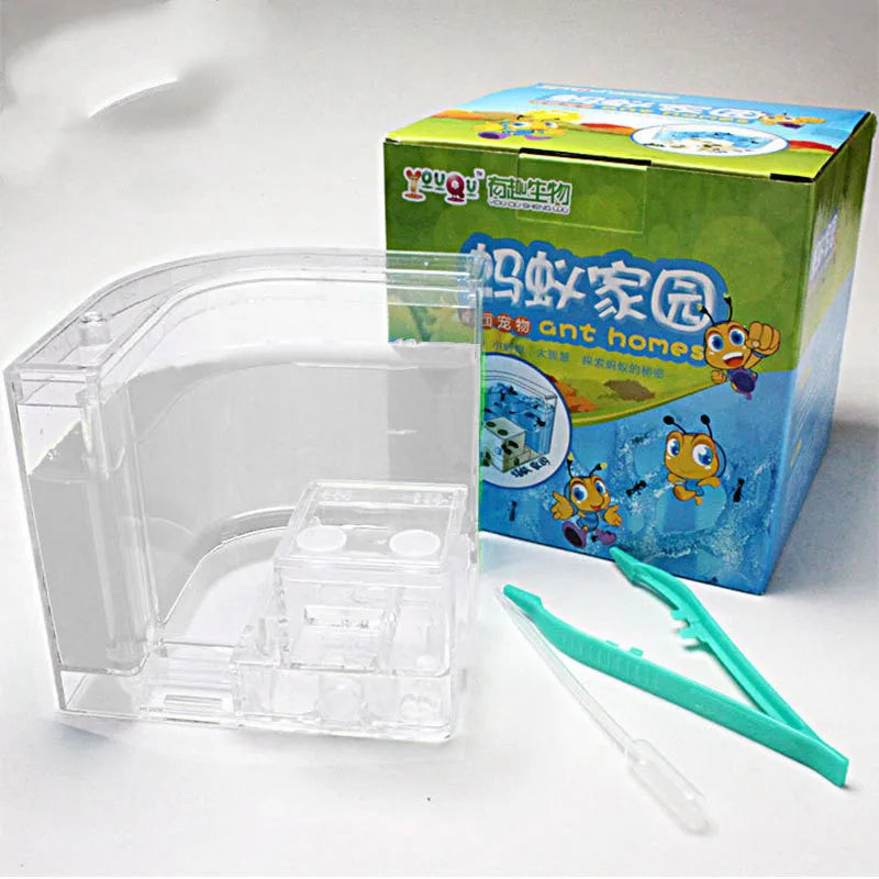 Ant Workshop Toys acrylic craft kit in six colours including blue, green, pink, purple, white, yellow packed in a colour box