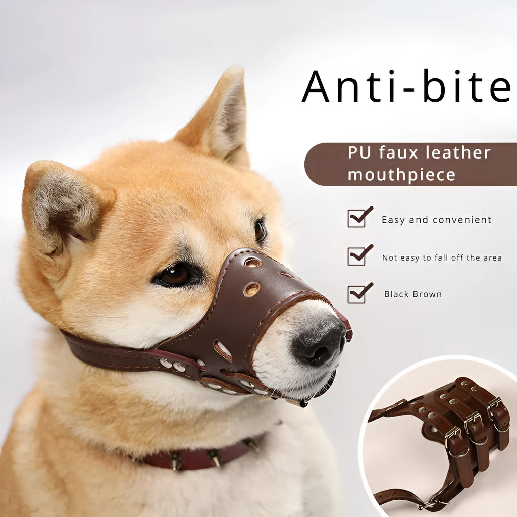 Black dog muzzle on a golden retriever showing size and fit
