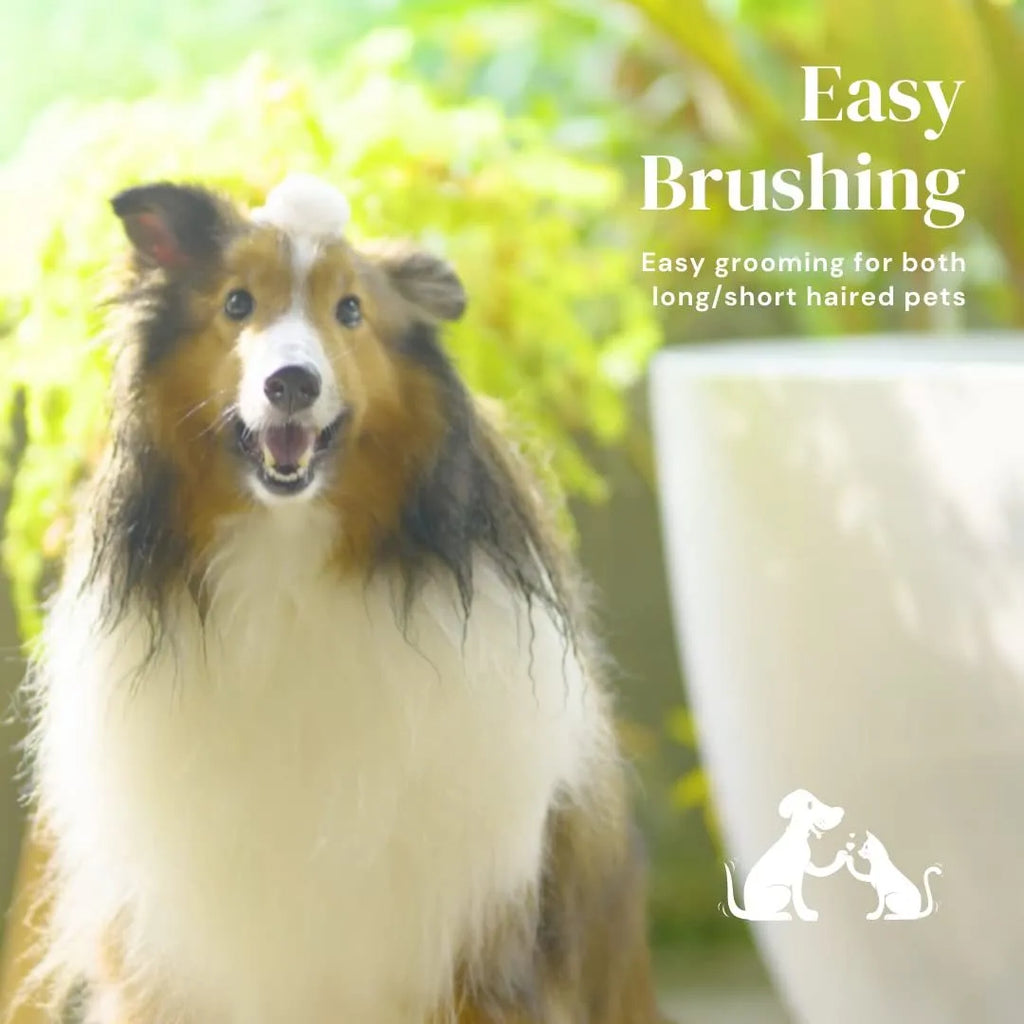 Blue self-cleaning slicker brush for dogs and cats with ergonomic rubber handle