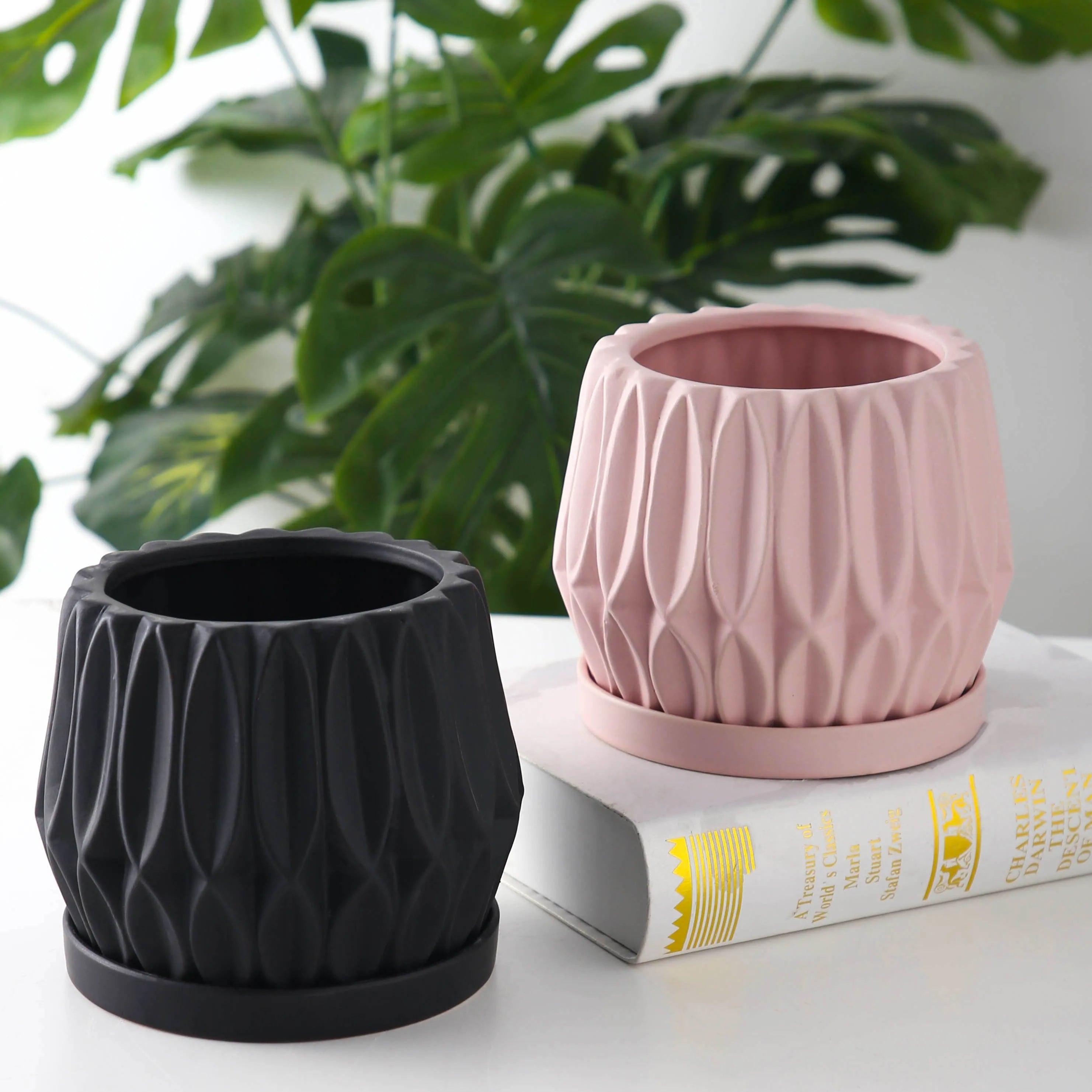 Grey ceramic desktop flowerpot for indoor plants on tabletop