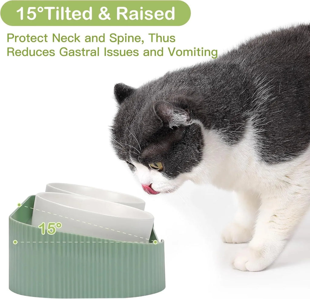 Green ceramic elevated cat bowls with tilted stand and dual bowls on wooden floor