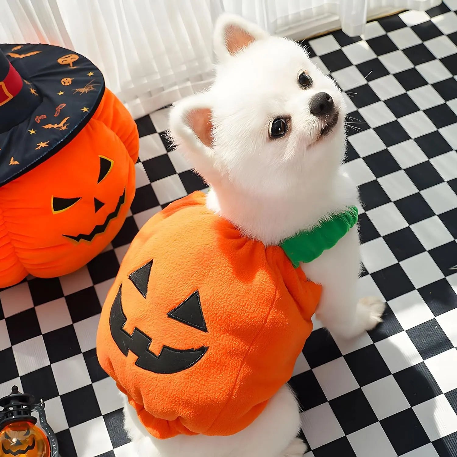 Orange plush pumpkin Halloween costume for a small dog, showing pullover design and soft texture.