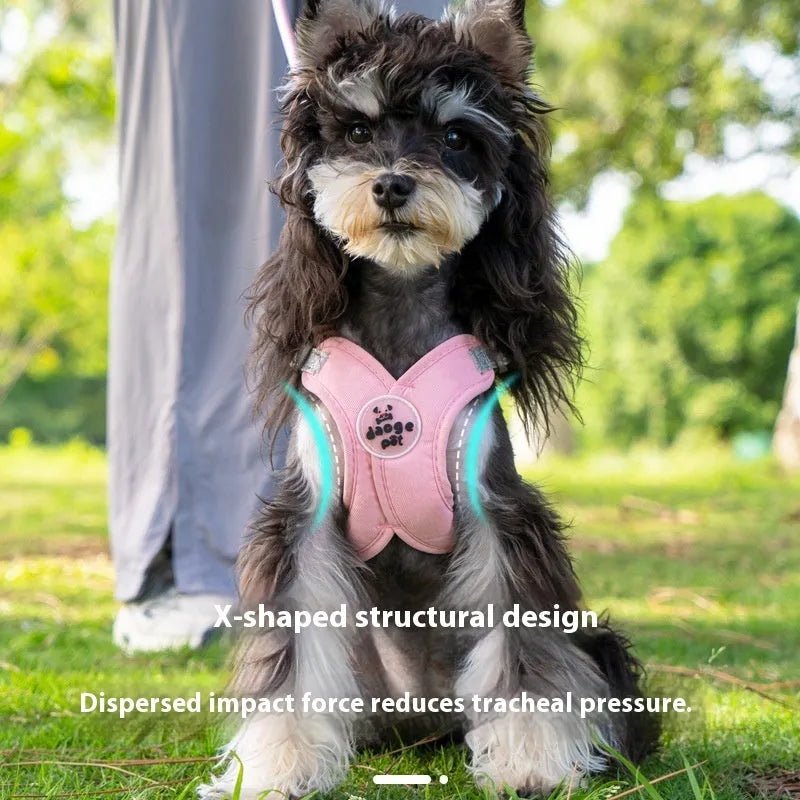 Blue polyester dog vest and matching hand-holding rope set on a white background.
