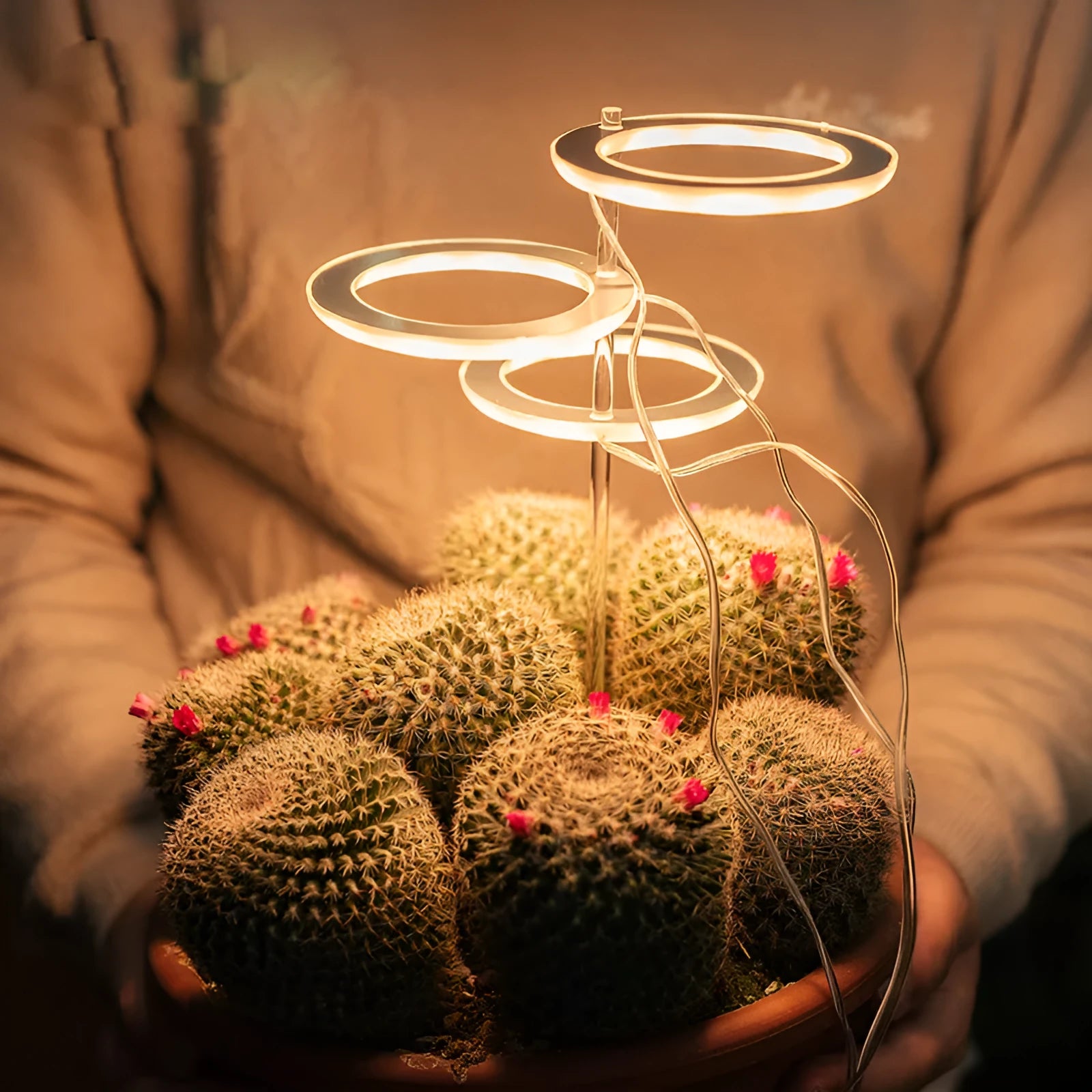 USB-powered LED plant growth light with full spectrum illumination and acrylic stick holder