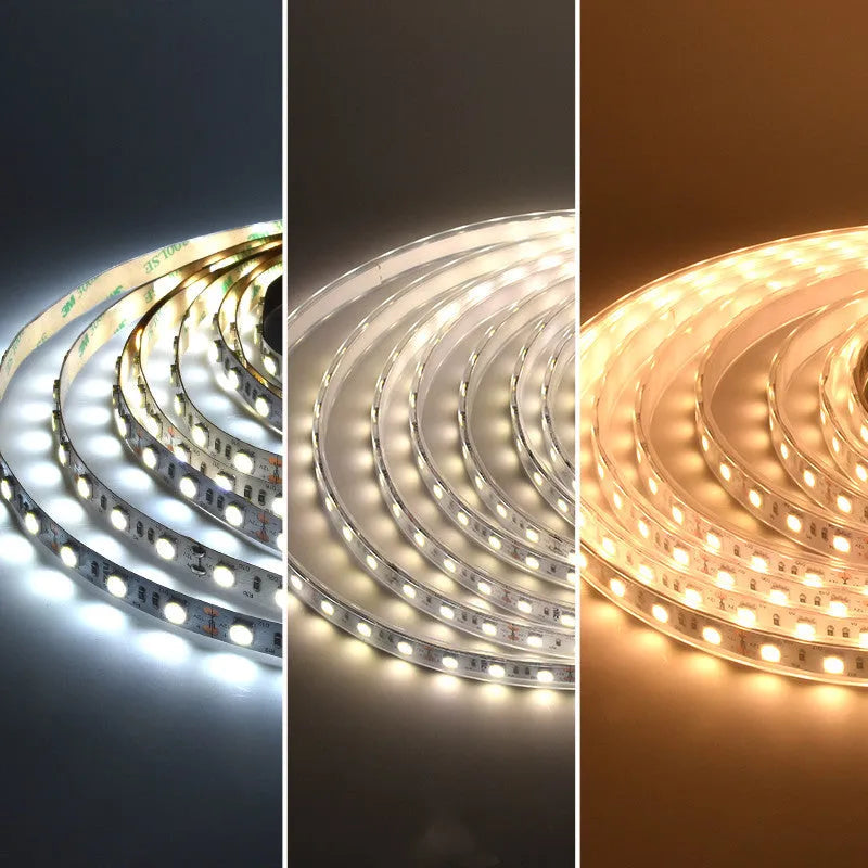 2835 and 5050 white LED light strip on a reel for commercial shelf lighting.