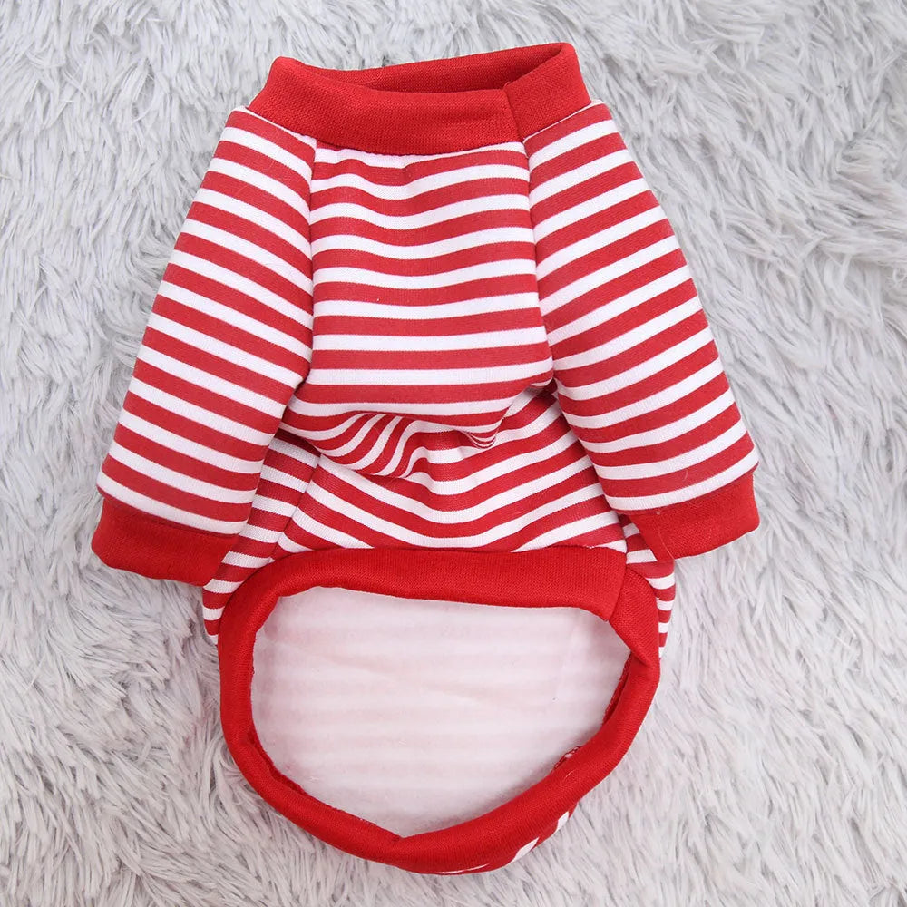 Cute teddy bear print polyester pet sweater for small dogs and cats on a white background
