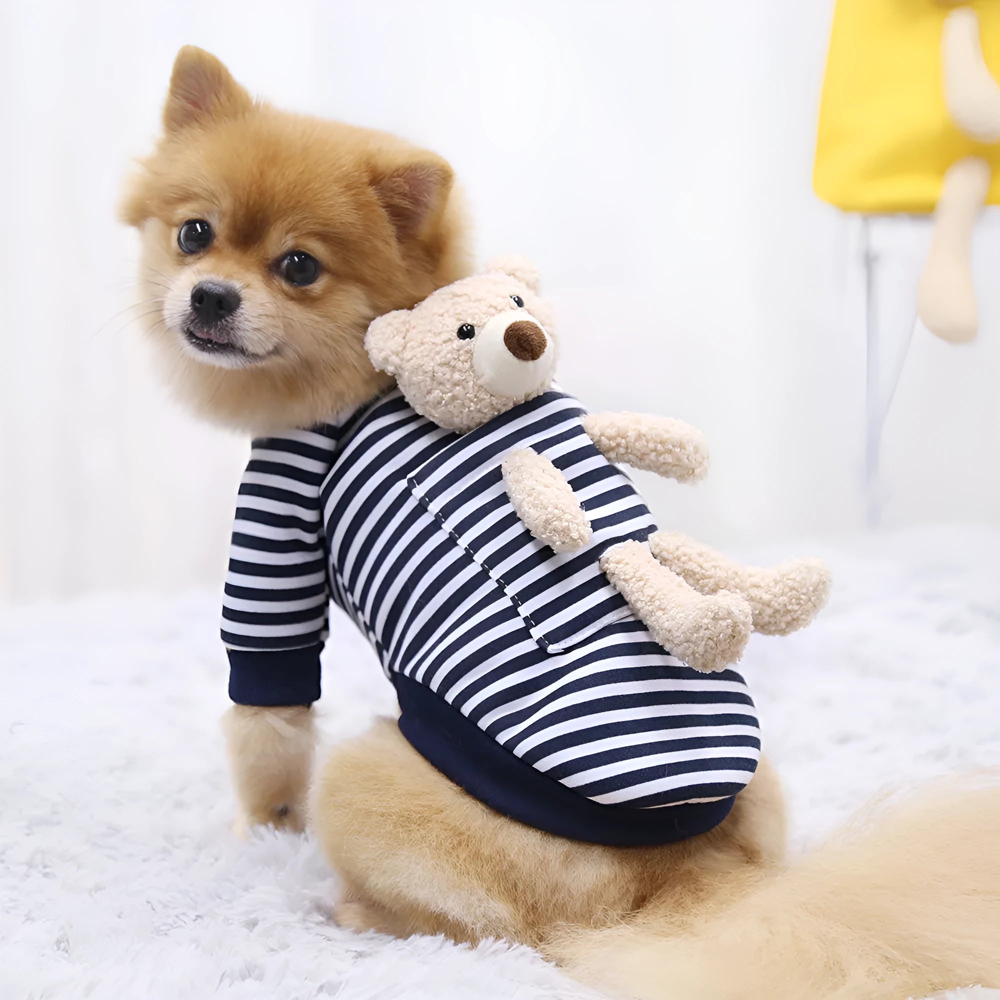 Cute teddy bear print polyester pet sweater for small dogs and cats on a white background
