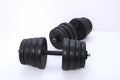 Pair of black rubber coated round head dumbbells 10kg each on a gym floor with indoor fitness equipment