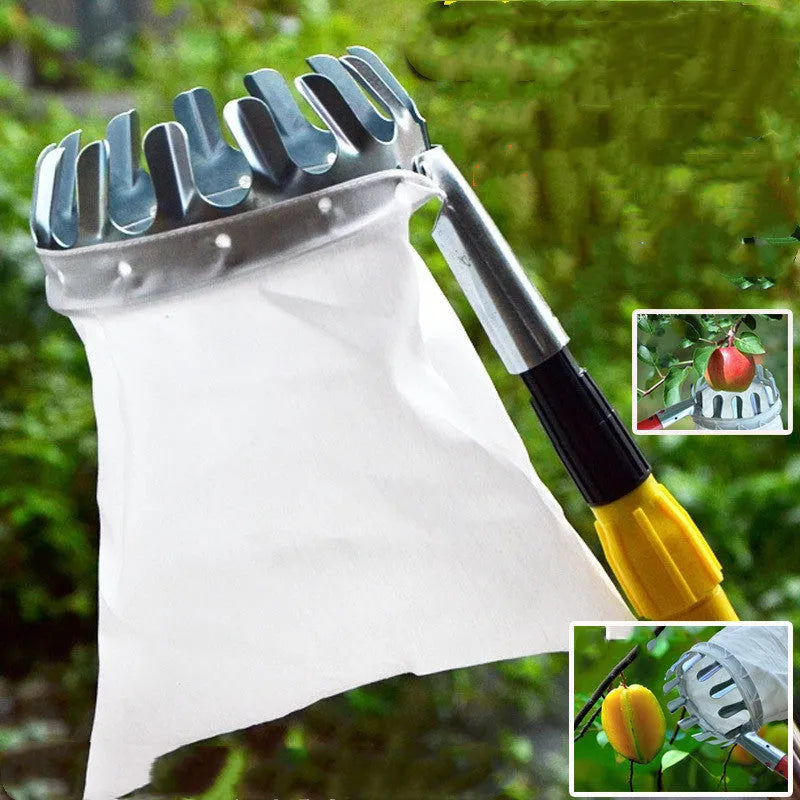 Steel-framed fruit picker garden tool with cloth bag for harvesting apples, pears, and citrus