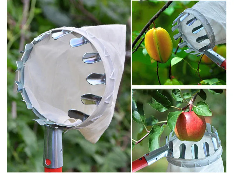 Steel-framed fruit picker garden tool with cloth bag for harvesting apples, pears, and citrus