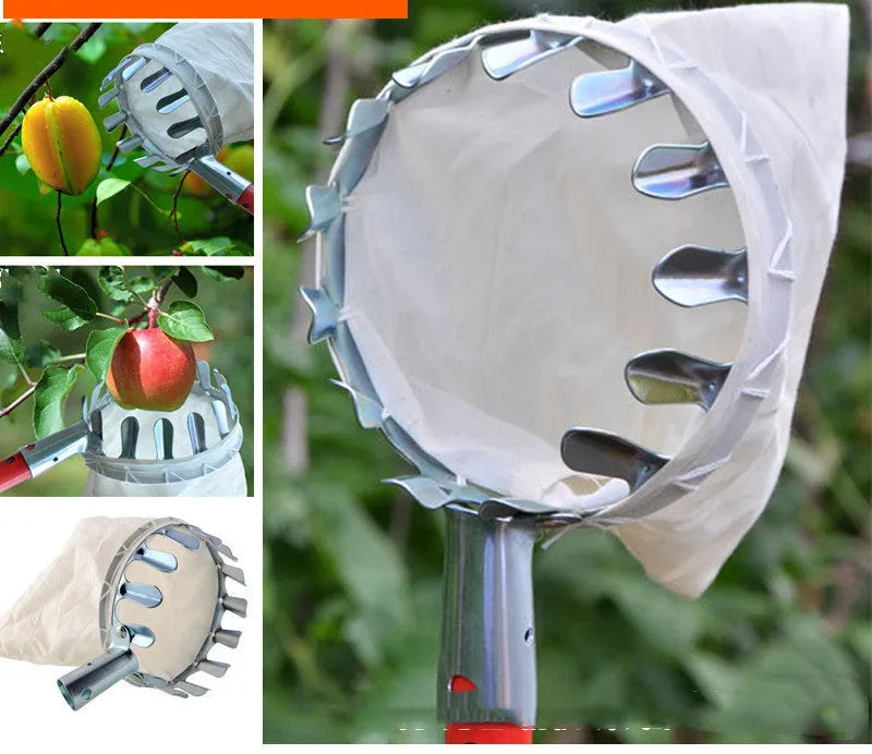 Steel-framed fruit picker garden tool with cloth bag for harvesting apples, pears, and citrus