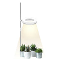 Desk plant growth lamp with full spectrum light and adjustable heads on a wooden surface.